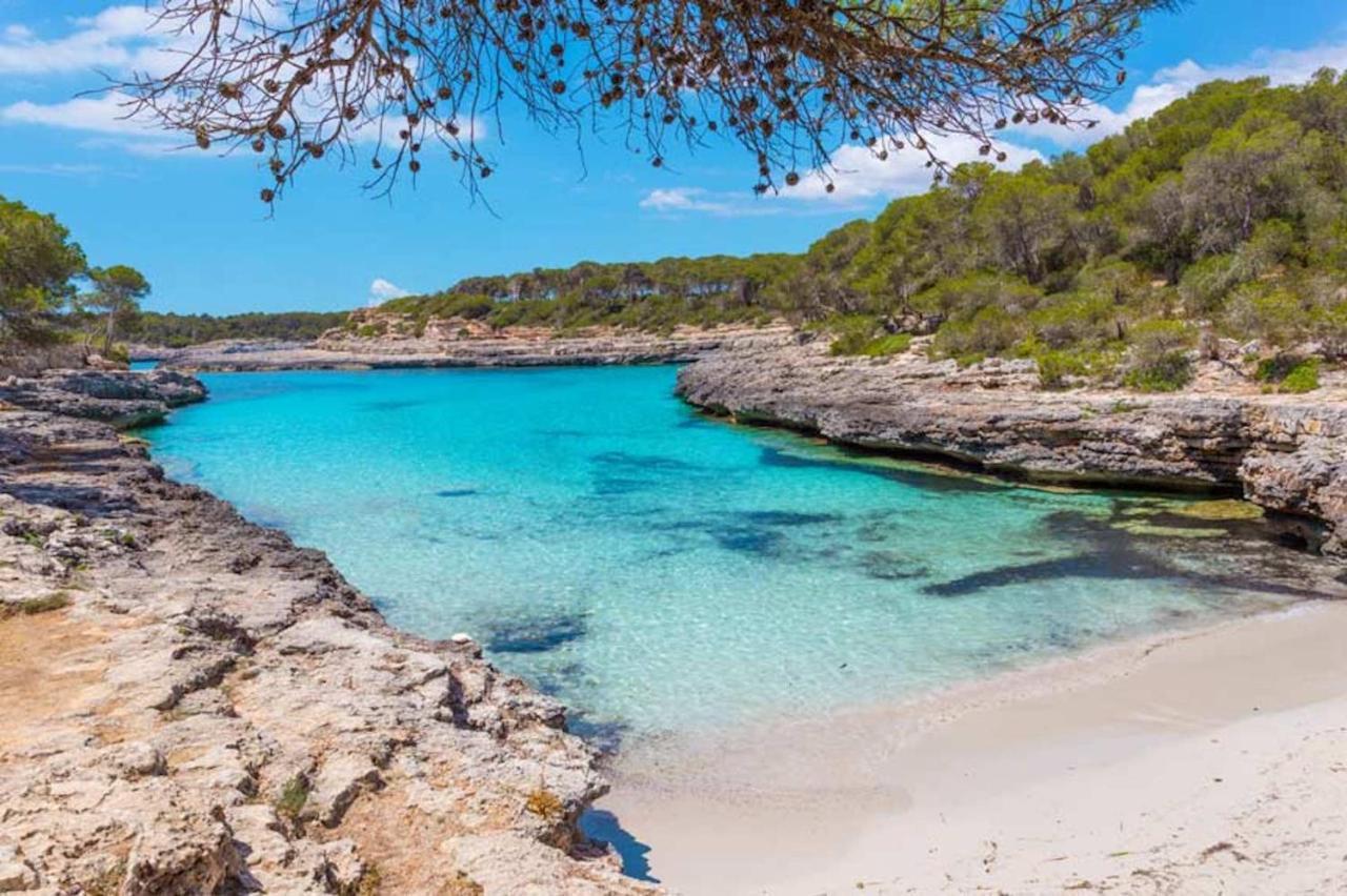 Hébergement de vacances Cel Pins
